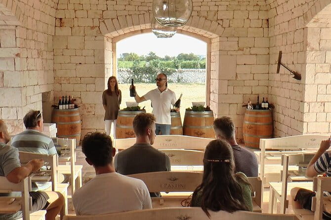 Guided Visit to the Vineyard with Wine Tasting - The Details of the Tour: What to Expect