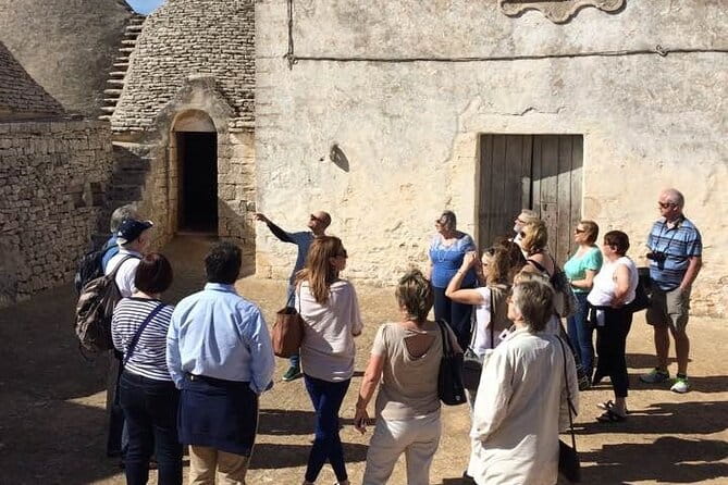 Guided Visit to the Vineyard with Wine Tasting - Who Is This Tour Best For?