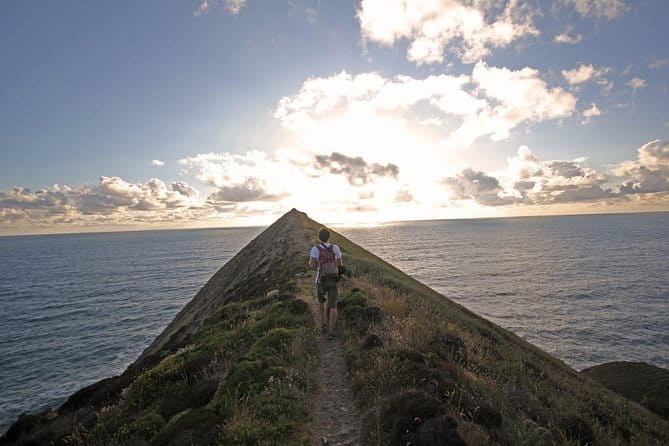 Guided walk on the remote and wild North Cornish coast - A Detailed Look at the North Cornish Coast Guided Walk