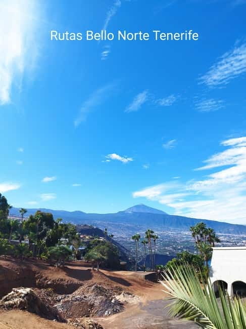 Guided walking tour in La Orotava 1:30 min, Tenerife - What’s Included and What’s Not