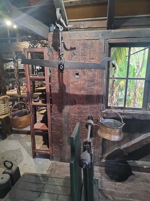 Guided walking tour in La Orotava 1:30 min, Tenerife - Who Will Love This Tour?