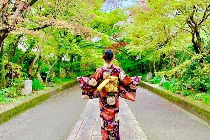 Guided Walking Tour in Yamaguchi City - Accessibility Information