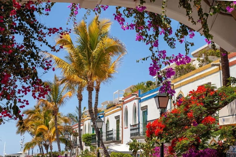 Guided walking tour of Puerto de Mogán - Who Should Consider This Tour?