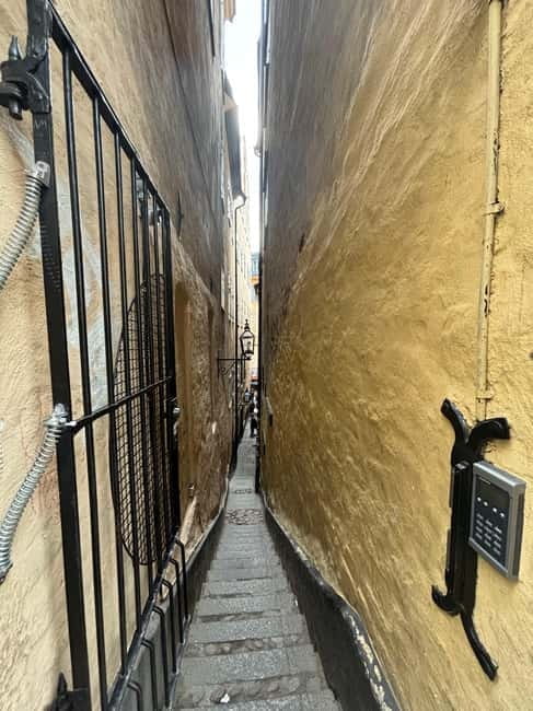 Guided Walking Tour of Stockholm's Gamla Stan - The Royal Palace and Surroundings