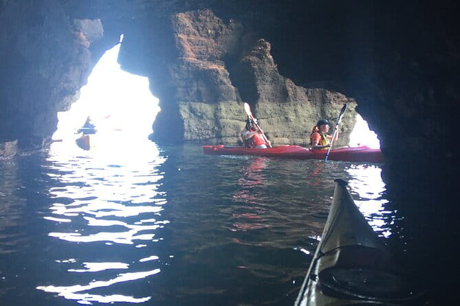 Guided Wildlife and Sea Cave Kayak Safari in English Riviera - Who Will Love This Tour?