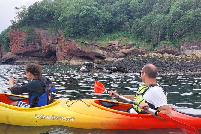 Guided Wildlife and Sea Cave Kayak Safari in English Riviera - FAQ