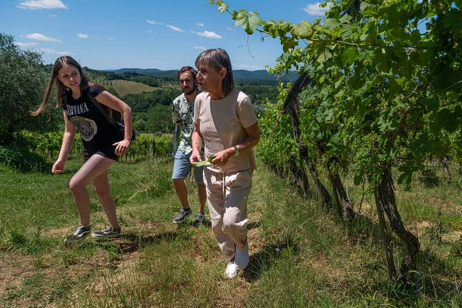 Guided Winery Tour and Wine Tasting in Siena - The Practicalities: What’s This Tour Really Like?