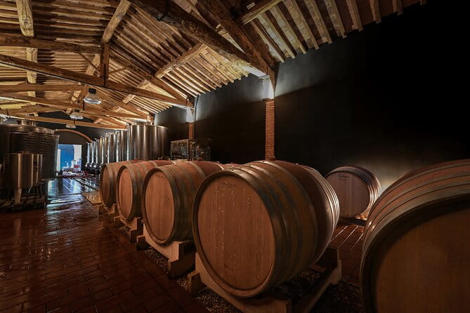 Guided Winery Tour and Wine Tasting in Siena - Who This Tour Is Best For