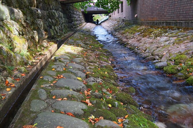 Gujo Hachiman All Must-Sees Full Day Private Tour With Government-Licensed Guide - Accessibility and Participation