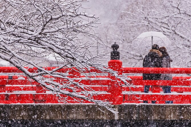 Gujo, Hida Takayama, and Shirakawa-Go Day Tour From Nagoya - Tour Details and Requirements