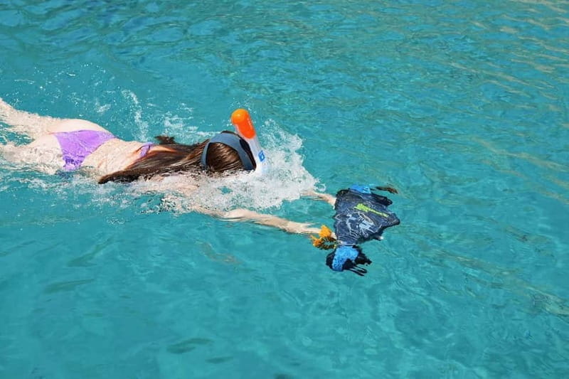 gulf of Ajaccio / Anse de cacao , swim stop - The Sum Up: Who Should Consider This Trip?