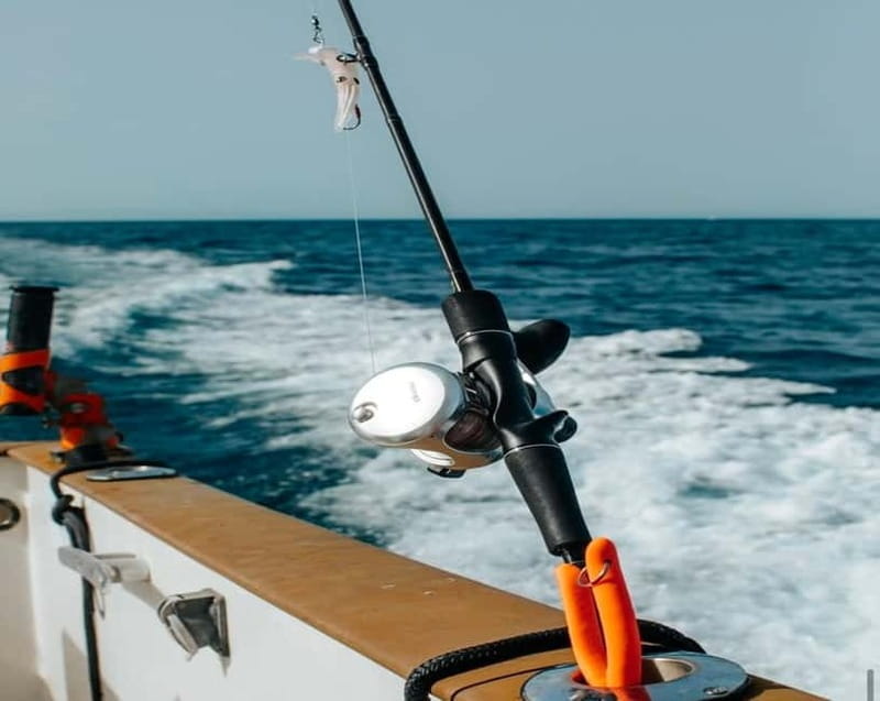 Gulf of Ajaccio: Private Fishing Trip in a Perle Blanche - Final Takeaway