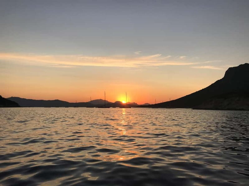 Gulf of Olbia: Dolphin watching by dinghy - Frequently Asked Questions