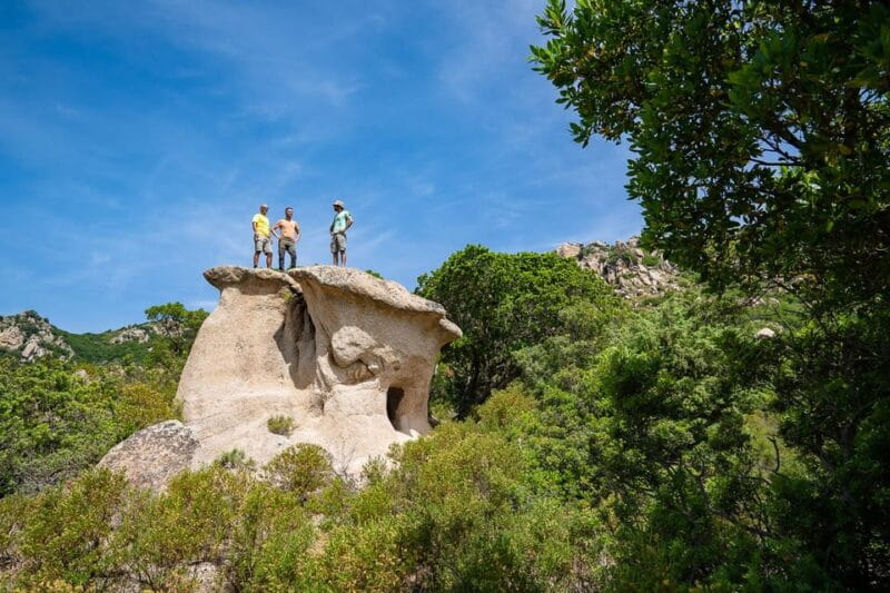 Gulf of Orosei: 4X4 tour between Mountains & Beaches - Price and Value