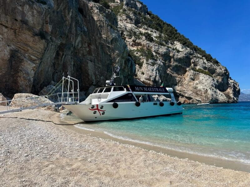 Gulf of Orosei: Grotta del Bue Marino & Cala Luna Boat Tour - Setting Expectations for Your Sardinian Seaside Adventure