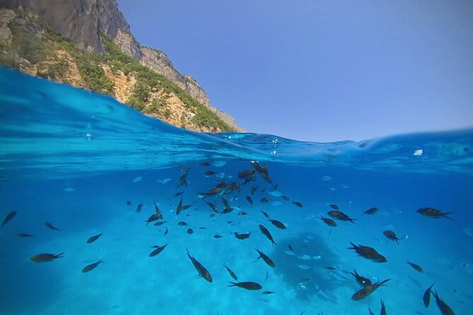 Gulf of Orosei Speedboat Trip with Aperitif from Cala Gonone - The Experience in Detail