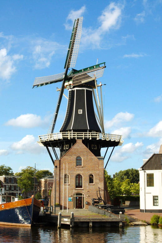 Haarlem: Dutch Bitterballen and Drinks Cruise - Who Will Love This Experience?