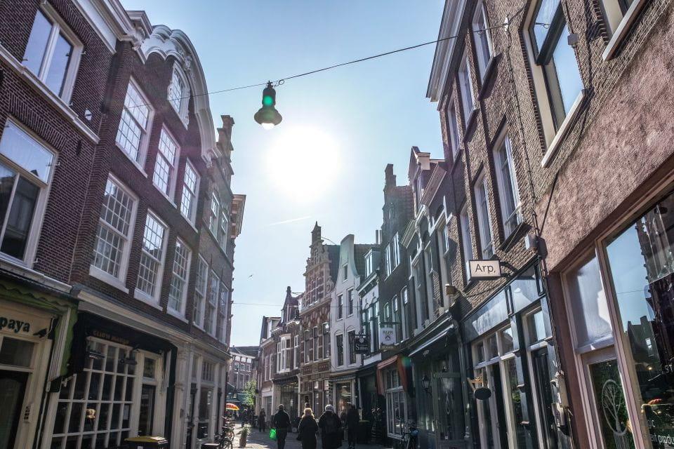Haarlem: Small Group City Walking Tour - Experience and Learning