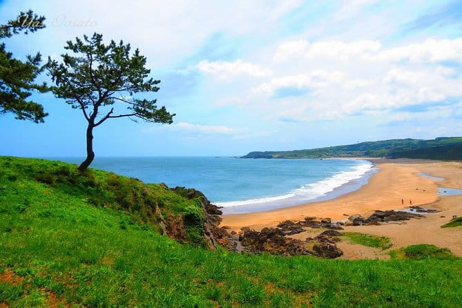 Hachinohe Full-Day Private Trip With Government-Licensed Guide - Meet Your Licensed Local Guide