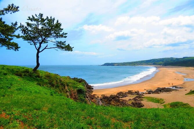 Hachinohe Half-Day Private Trip With Government-Licensed Guide - Accessibility Features