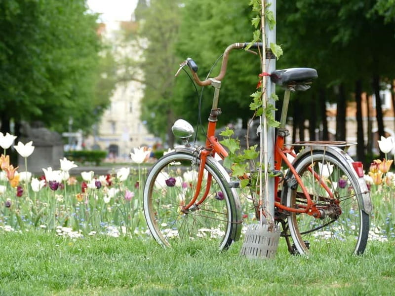 Haidhausen: Insider Tour! Secrets in Munich's French Quarter - Key Points / Takeaways