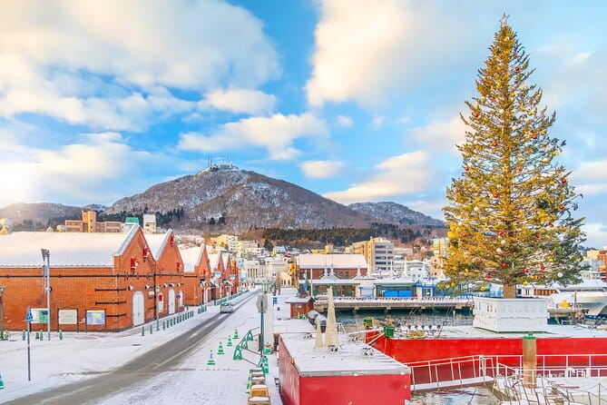 Hakodate Private Customizable 6-Hour Tour - Accessibility and Physical Requirements