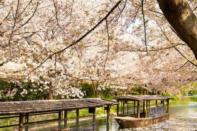 Hakone and Mt. Fuji Day Trip With Private Vehicle - Tips for a Memorable Hakone and Mt. Fuji Experience