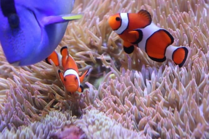 Hakone for Children to Enjoy! Japanese Crafts Experience From Tokyo - Accessibility and Transportation Convenience