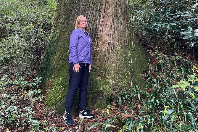 Hakone Full Day Tour With Guide and Vehicle - Accessibility