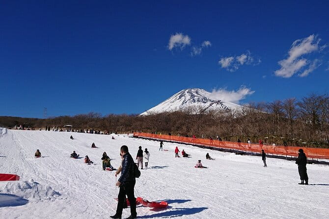 Hakone Pirate Ship, Owakudani Ropeway, Fuji 2nd Station Snow Sledding Day Trip - Booking Information and Cancellation Policy