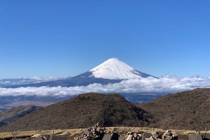 Hakone Private One Day Tour From Tokyo: Mt Fuji, Lake Ashi, Hakone National Park - Itinerary Highlights
