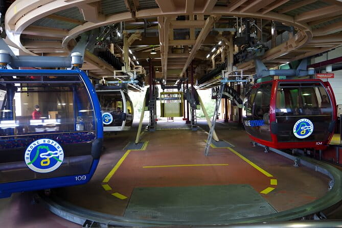 Hakone Sightseeing Private Tour From Tokyo - Inclusions