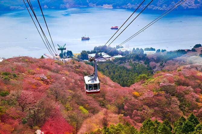 Hakone Sightseeing Private Tour From Tokyo - Customize Your Experience