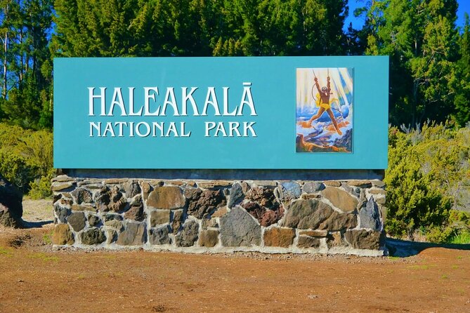 Haleakala Sunrise Best Self-Guided Bike Tour - Participant Experiences