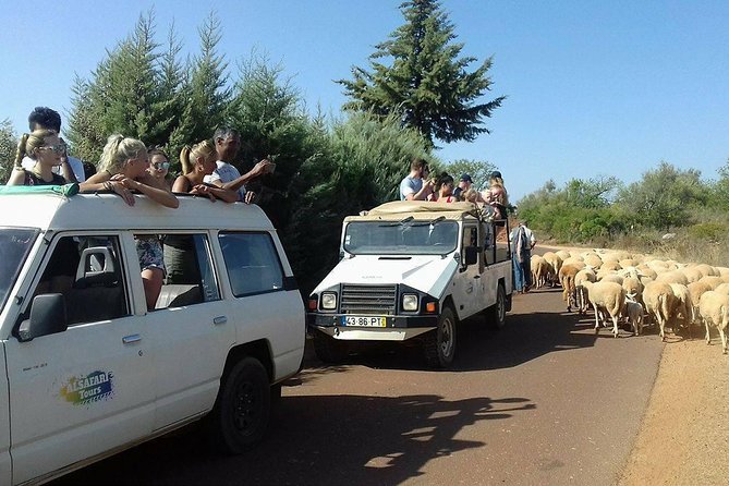 Half-Day Algarve Countryside and Villages Jeep Safari - Additional Information for Travelers