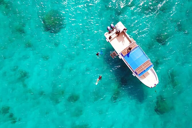 Half Day Amami Japan Boat Snorkeling Adventure - Pricing and Booking Information