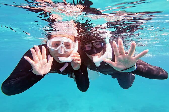 Half Day Amami Japan Boat Snorkeling Adventure - Reviews and Participant Feedback