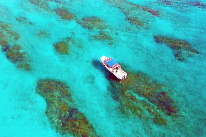 Half Day Amami Japan Boat Snorkeling Adventure - Exploring the Underwater World