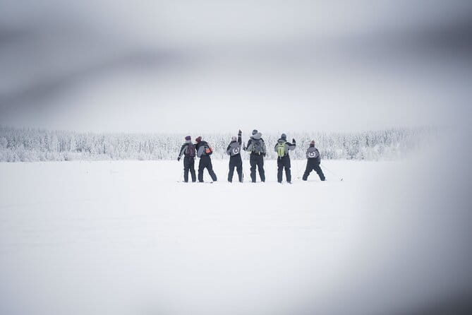 Half-Day Backcountry Skiing Tour in Levi with Photography Guide - Who Should Consider This Tour?