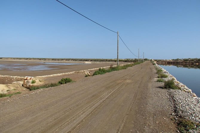 Half-day birdwatching around Tavira - A Close Look at the Experience in Tavira