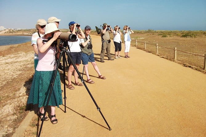 Half-day birdwatching at Alvor dunes - Exploring the Alvor Dunes Birdwatching Tour