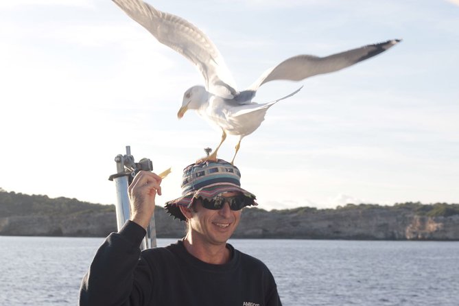 Half-Day Boat Tour Along the South Coast of Menorca - Highlights of the Journey
