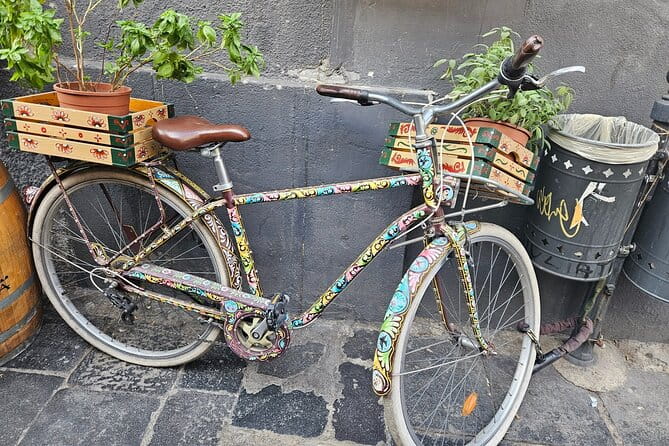 Half Day Catania Gastronomic and Cultural Tour from Taormina - Practicalities and Logistics