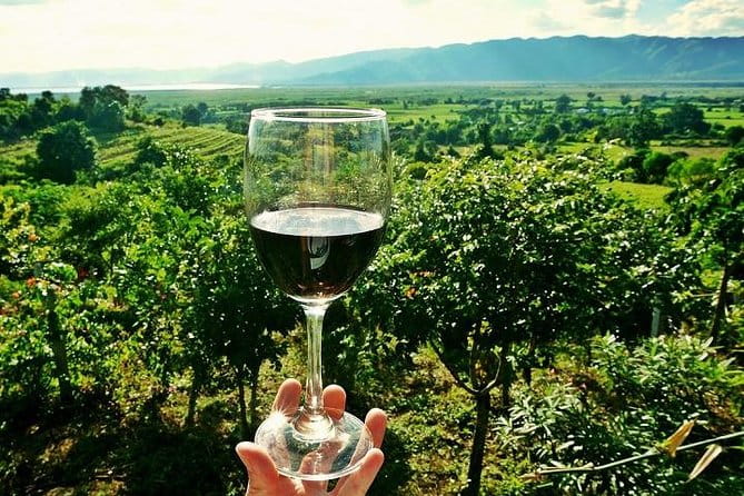 Half-Day Chianti Wine and Olive Oil Tour from Viareggio - Key points / Takeaways