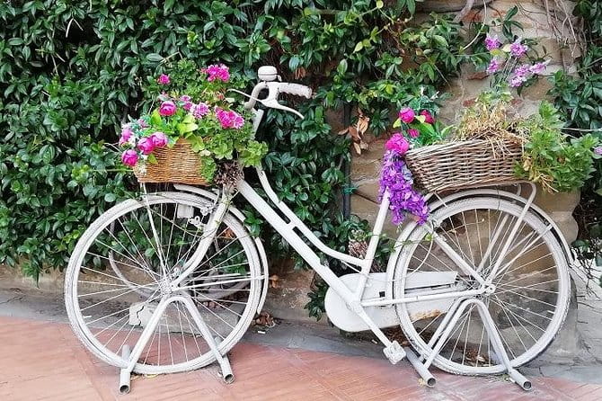 Half-Day Chianti Wine and Olive Oil Tour from Viareggio - The Winery and Wine Tasting Experience