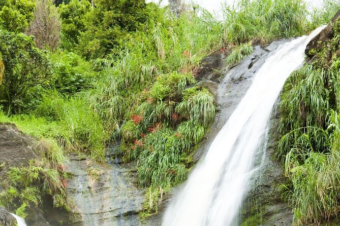 Half-Day Concord Waterfall and Chocolate Factory Tour - Key Points