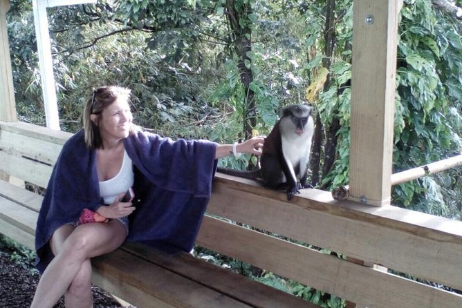 Half-Day Concord Waterfall and Chocolate Factory Tour - Gouyave Chocolate Factory Visit