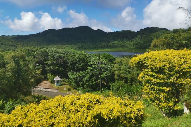 Half-Day Concord Waterfall and Chocolate Factory Tour - Pickup and Transportation Details