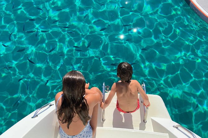 Half-day cruise. St.Antonio Shore Excursion: Paddle, Swim and Beach Tour - Introduction: A Taste of Ibiza’s Coastline on a Catamaran