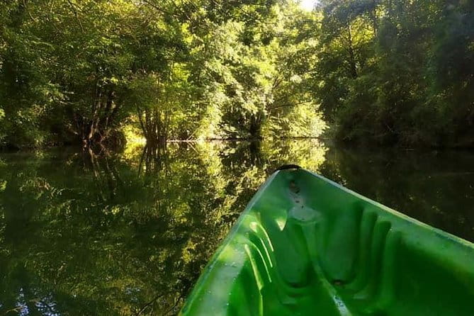 Half day descent - What to Expect on Your Canoe-Kayak Half-Day Adventure